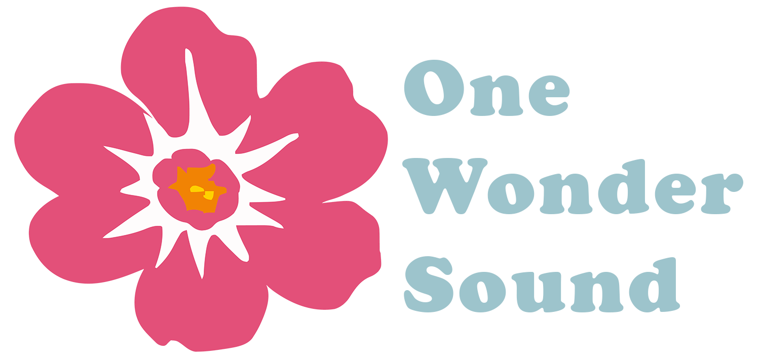 One Wonder Sound Logo